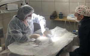 Cirurgia Veterinária em Santo André