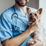 Convênio ou Plano de saúde Veterinário, é bom para seu pet? 5