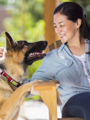 Como fazer um cachorro parar de latir