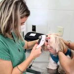 9 Problemas oculares que podem exigir um oftalmologista 8