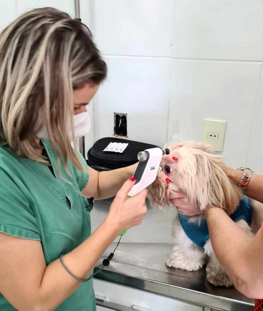 Kethye Priscila Ortêncio (CRMV 25832) em atendimento oftalmológico canino.