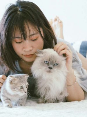 Check-ups veterinários regulares para gatos | Checklist de saúde felina