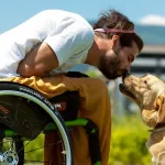 Como acostumar a cachorro a conviver com alguém na cadeira de rodas 5