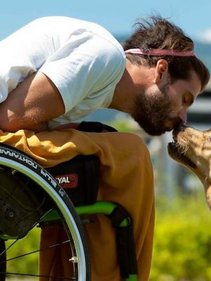Como acostumar a cachorro a conviver com alguém na cadeira de rodas