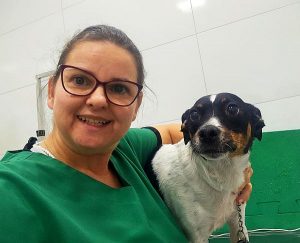 Como cuidar de Doenças Imunológicas em cachorro 1