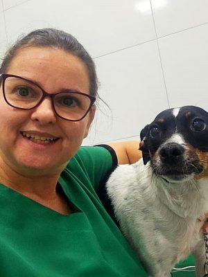 Como cuidar de Doenças Imunológicas em cachorro